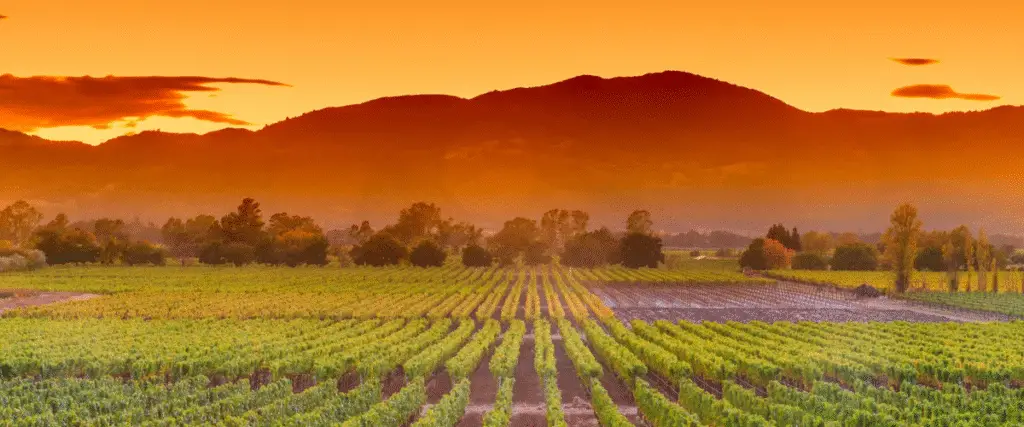 Napa Valley, California one of the best places to visit in October in the USA