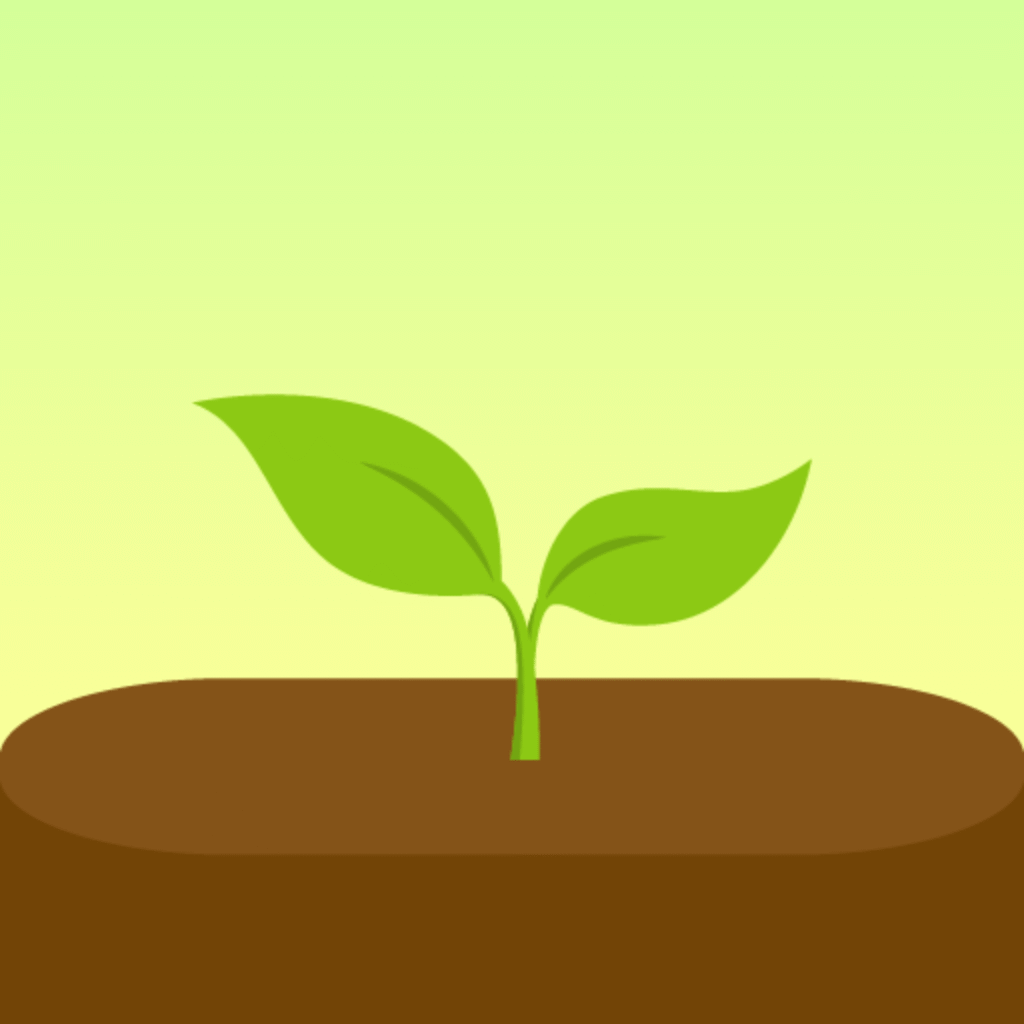 Forest App for Relaxing and Focused studying.